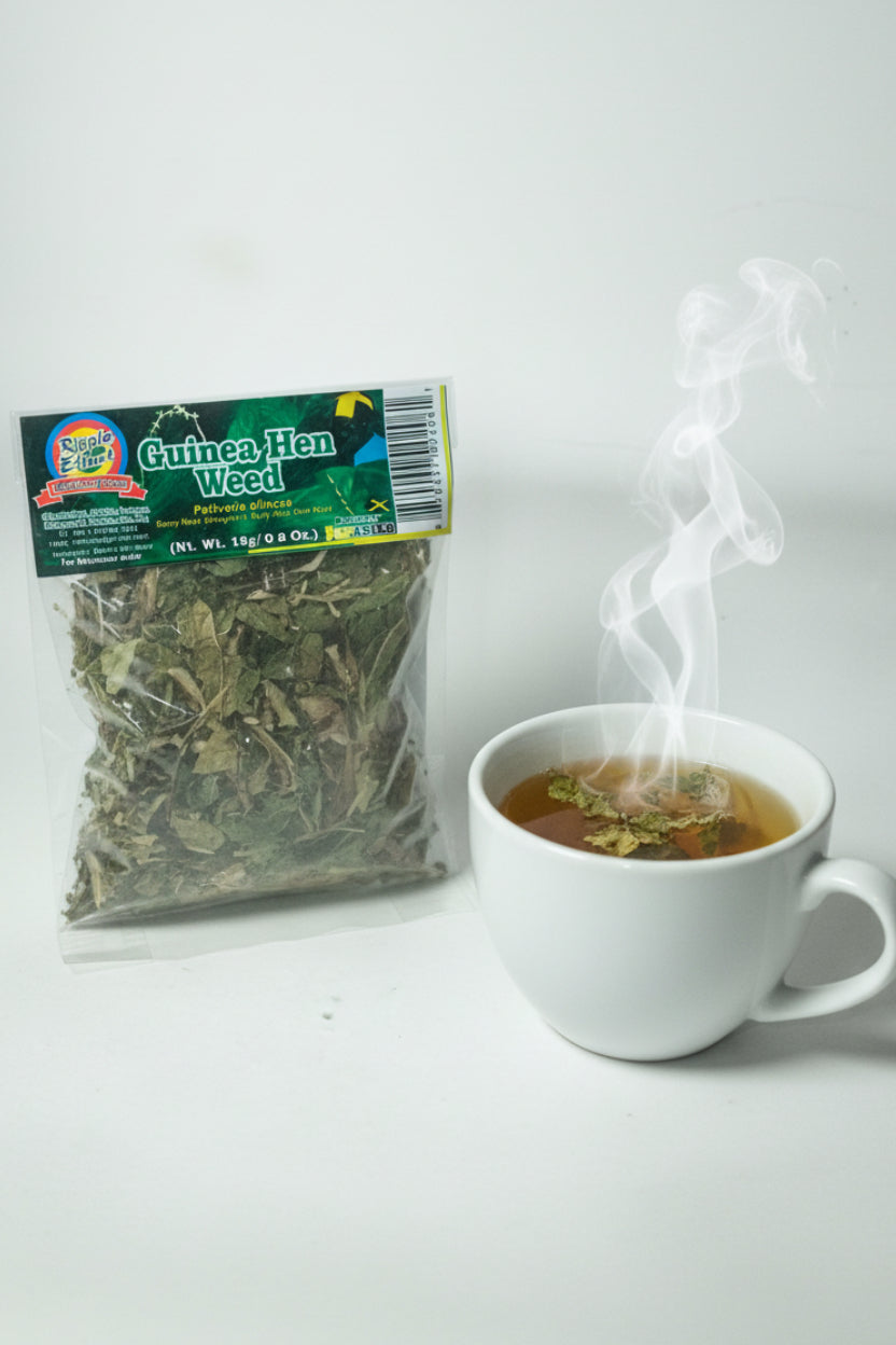 GUINEA HEN WEED (PEPERITA ALLIACEA) 18g