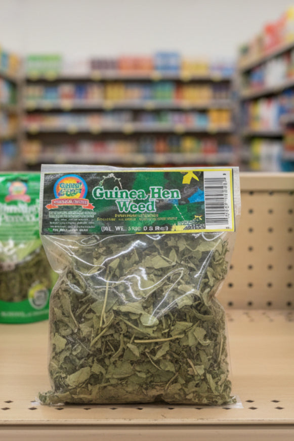 GUINEA HEN WEED (PEPERITA ALLIACEA) 18g