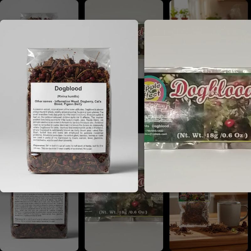 DOGBLOOD 18g (RIVINA HUMILIS)